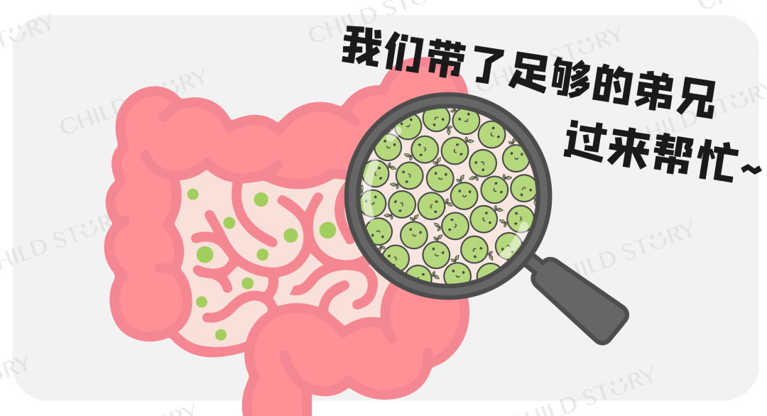 腸道營(yíng)養(yǎng)秋日元?dú)庋b備：母嬰門(mén)店?duì)幭嗌霞艿膶氊惥蛻?yīng)該這樣